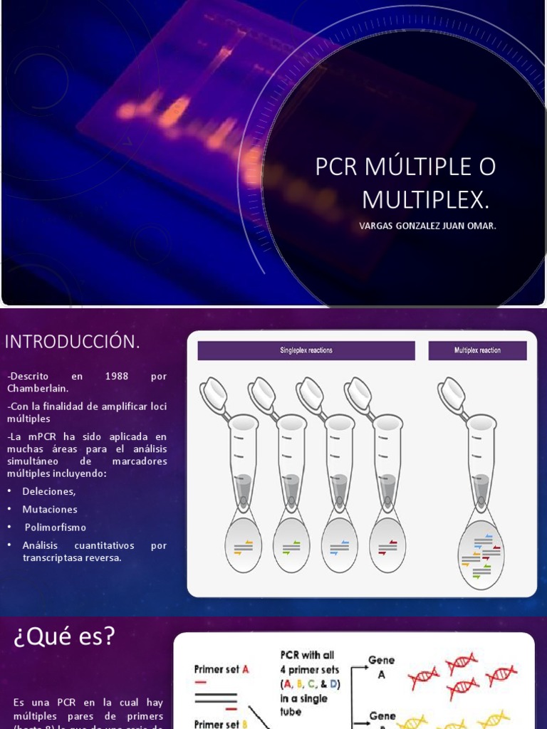 PCR Multiplex | PDF