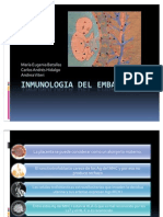 Inmunologia Del Embarazo Hidalgo Batallas Viteri