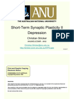 L17 - Short-Term Plasticity - 2 - 2017