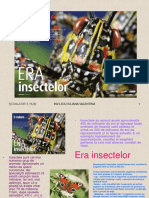 despre insecte.ppt