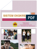 Pptsistemekskresi 180103112141 PDF