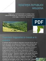 Vegetația republicii moldova