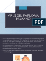 Papiloma-Humano