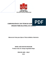 Comparación de dos técnicas quirúrgicas en orquiectomía bilateral de caninos