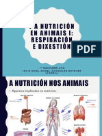 7 Nutrición Animal I PDF