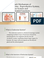 Feedback Mechanisms of the Endocrine, Reproductive, and Nervous Systems