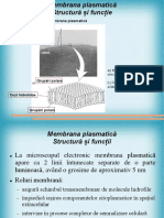 Membrana