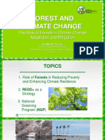 Role of Forest in Climate Change