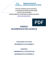 Ghid LICENTA - Informatica Economica 2019