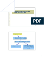 Regulacija Rijeka Prezentacija