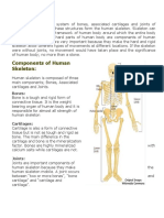 Skeletal System: Bones, Cartilages, and Joints