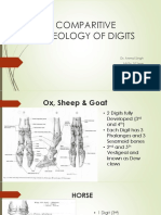 Comparitive Osteology of Digits