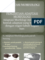 Adaptasi Morfologi Burung