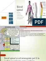 Socul Spinal