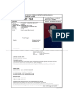 File PDF