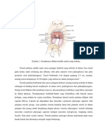 2.1.1 Anatomi Abses Peri Tonsil