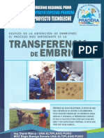 Transferecnia de Embriones - PRADERA - PUNO