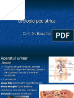 Curs Urologie