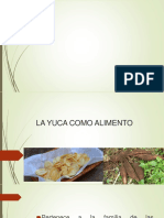 LA YUCA COMO ALIMENTO.pdf