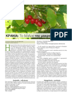 Krania 10 PDF