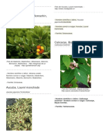 100 plantas ornamentales.docx