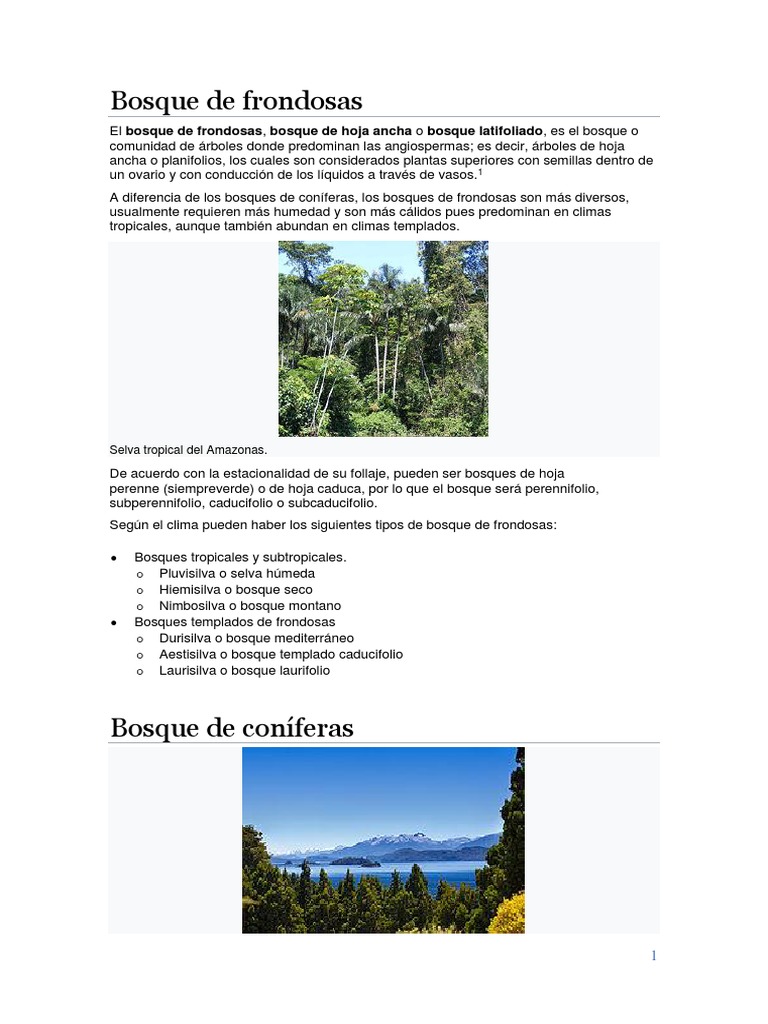 Bosque de Frondosas PDF Ecorregiones Conservación del medio ambiente