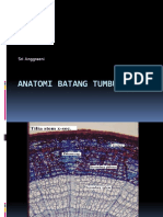 Anatomi Batang Tumbuhan PDF