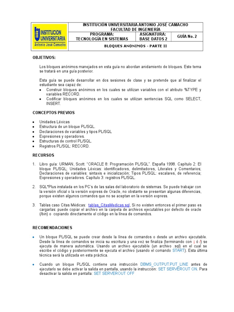 Bloques Anónimos en PL/SQL: Guía Práctica | PDF | Pl / Sql | SQL