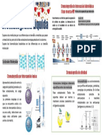 Infografia - Separación Por Cromatografía Líquida
