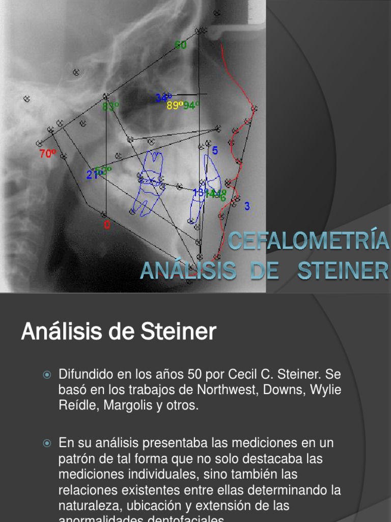 Cefalometria Steiner PDF Anatomia dental Anatomía humana