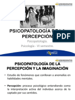 Psicopatología de La Percepción