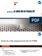 CICLO DE VIDA DE LA PYME}.pdf