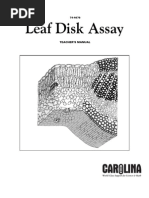 Download Leaf Disk Assay Teacher by Karim Shamsan SN44853781 doc pdf