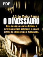 meirapenna-odino