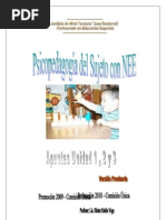 Psicopedagogia Del Sujeto Con NEE Apuntes Prov. 2010