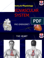 Anatomi & Physiologi of The Heart