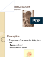 Prenatal Development