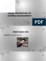 Prevention of Juvenile Delinquency FACINABAO