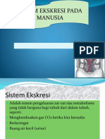 Presentasi SISTEM EKRESI