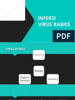 Infeksi Virus Rabies 2
