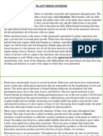 2.2.4 CELL ORGANISATION IN PLANTS