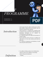 Audit Programme