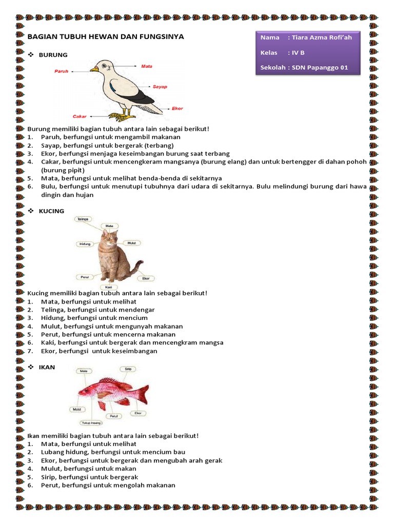 Mengenal Bagian Tubuh Hewan dan Fungsinya: Petualangan Seru di Dunia Satwa!