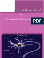 Anatomi Sistem Saraf (STM)