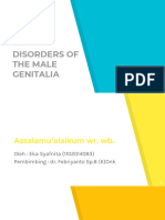 DISORDERS OF THE MALE GENITALIA (Stase Urologi)