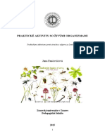 Fancovicova Prakticke Aktivity Szo 2015 PDF