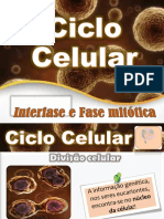 7_Ciclo celular