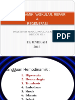 Praktikum Hemodinamik, Vaskular 2016