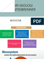 MESOSISTEM