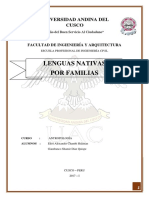 Lenguas Nativas.docx